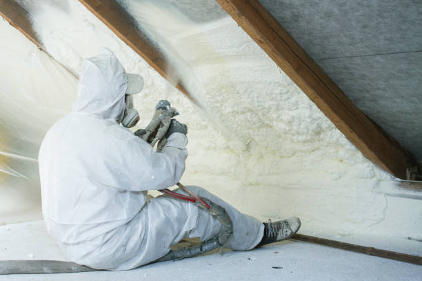 Types of Insulation We Offer in Purdy, MO